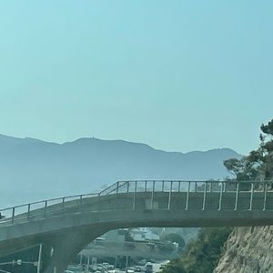 Meet your Posher, Basilio